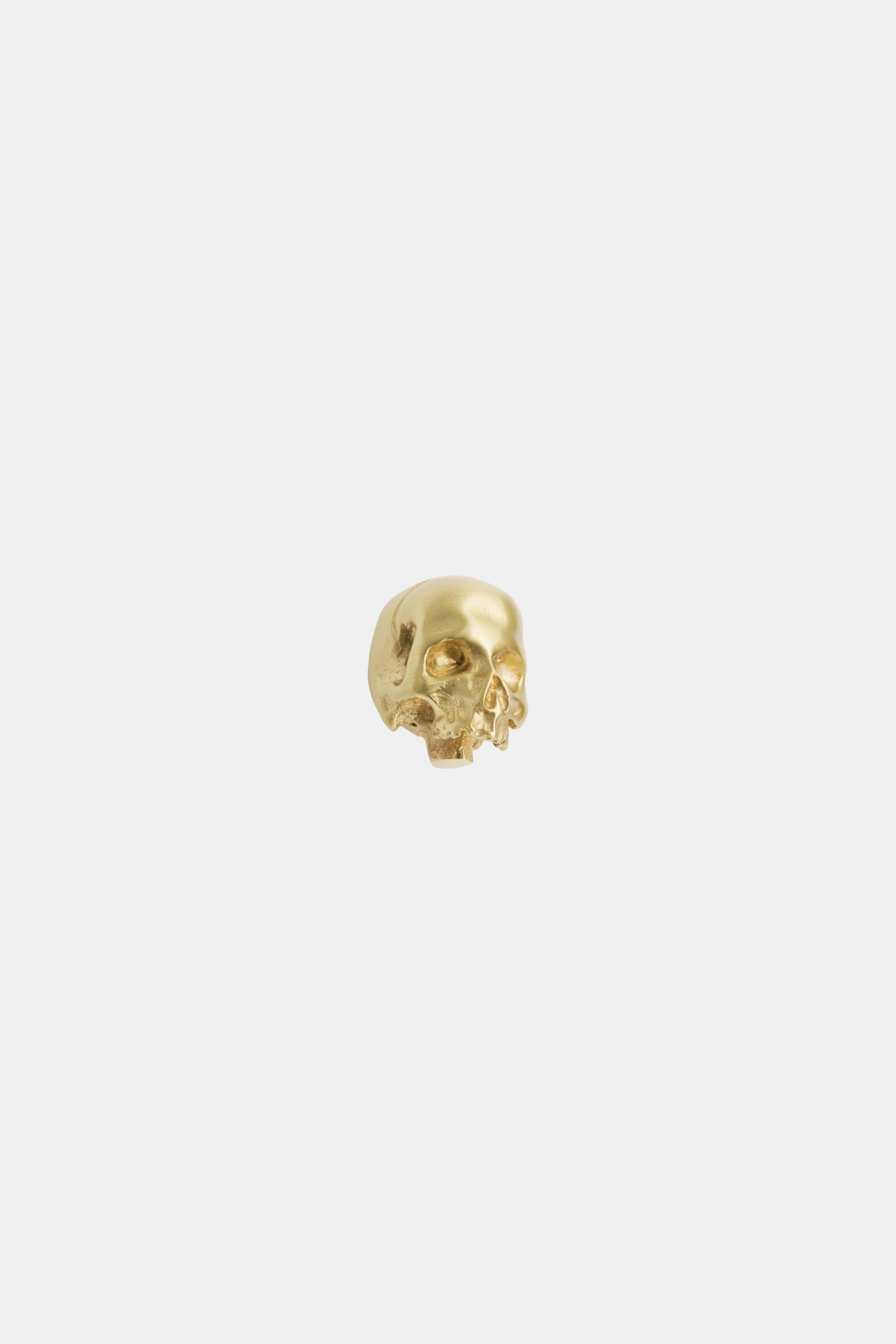 Collection Memento Mori Cabinet knob